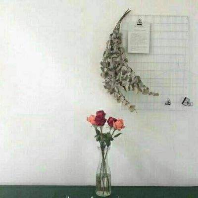 疯之大陆变态版下载
