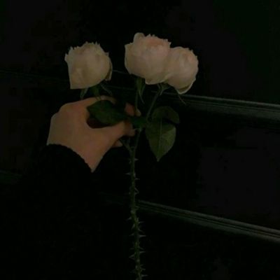 幻灵修仙传游戏下载