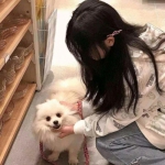 云裳羽衣华为版下载